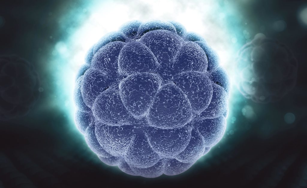 Embrión vitrificado: proceso de congelación de óvulos