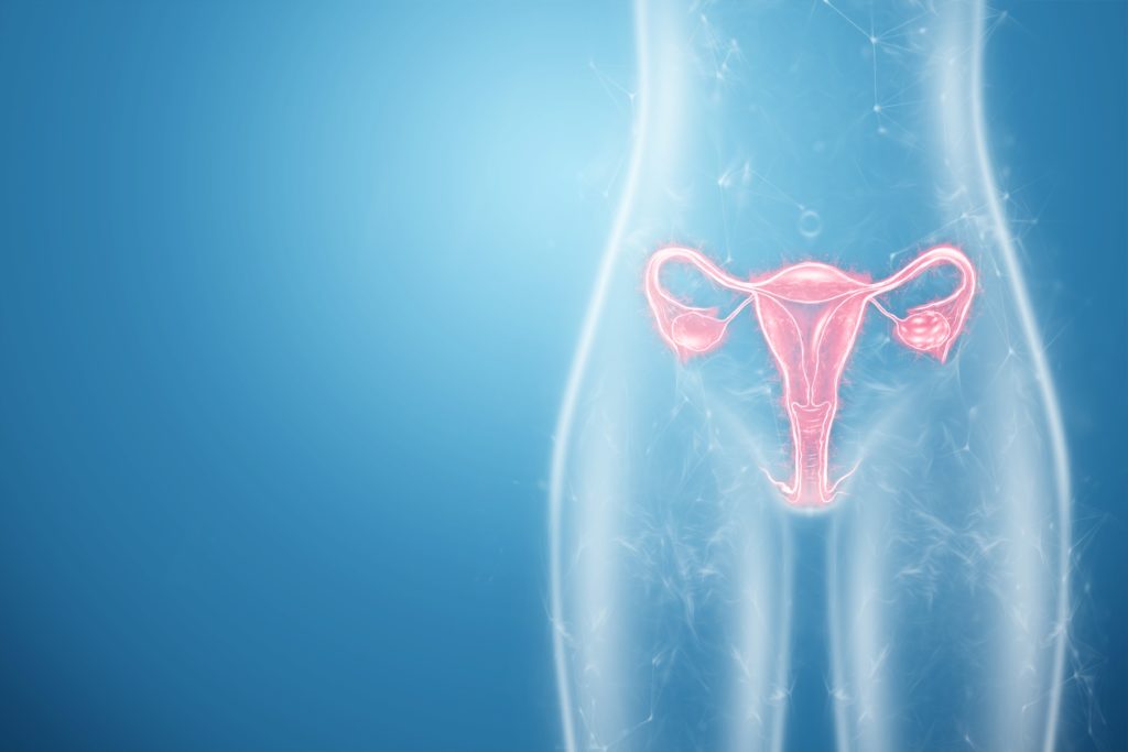 mioma uterino, concepto de órgano reproductor femenino