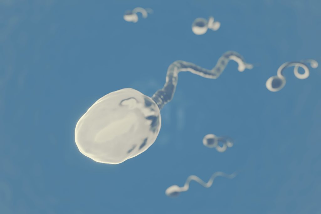 Concepto de semen donado, recreación 3D de espermatozoides