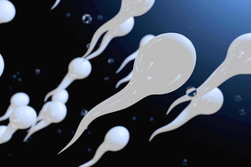 capacitación espermática, ilustración de espermatozoides