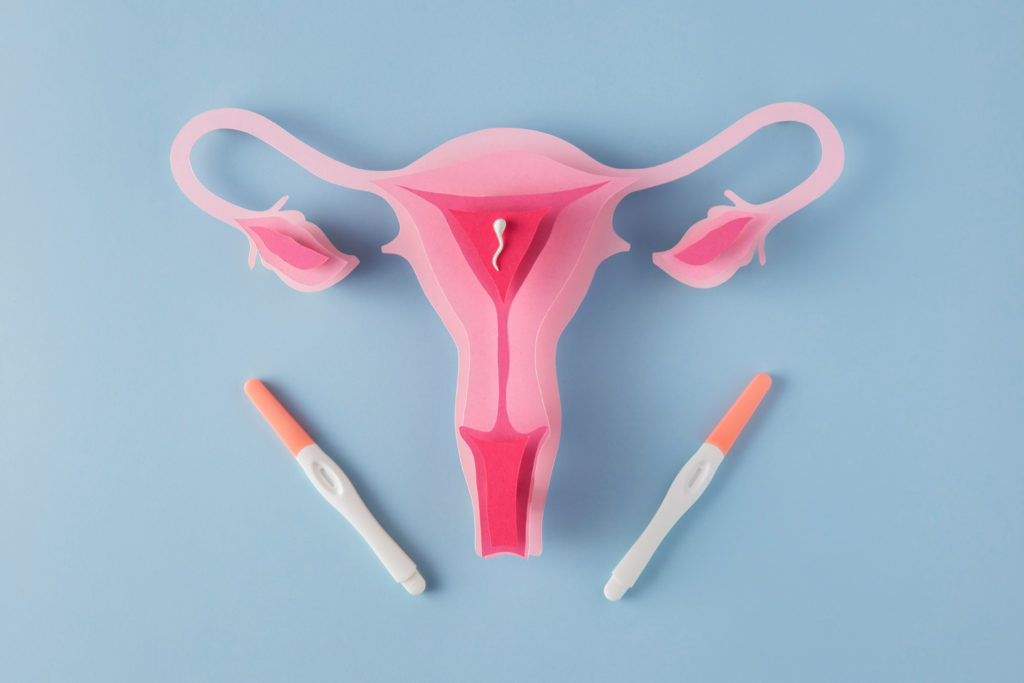 Dibujo simulando el aparato reproductor femenino con un espermatozoide y dos test de embarazo
