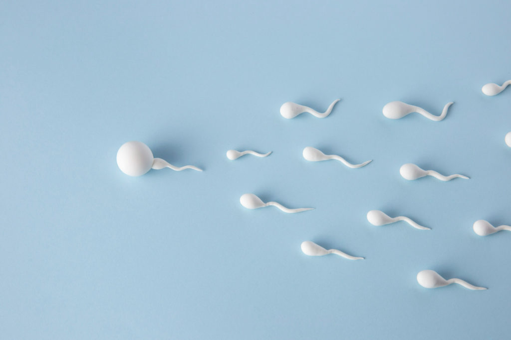 Ilustración de espermatozoides sanos fecundando a un óvulo, sin afecciones como teratozoospermia