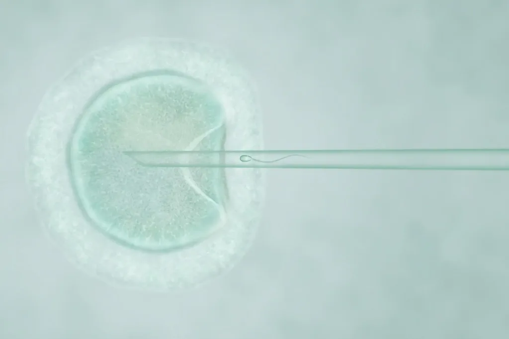 Inseminación artificial