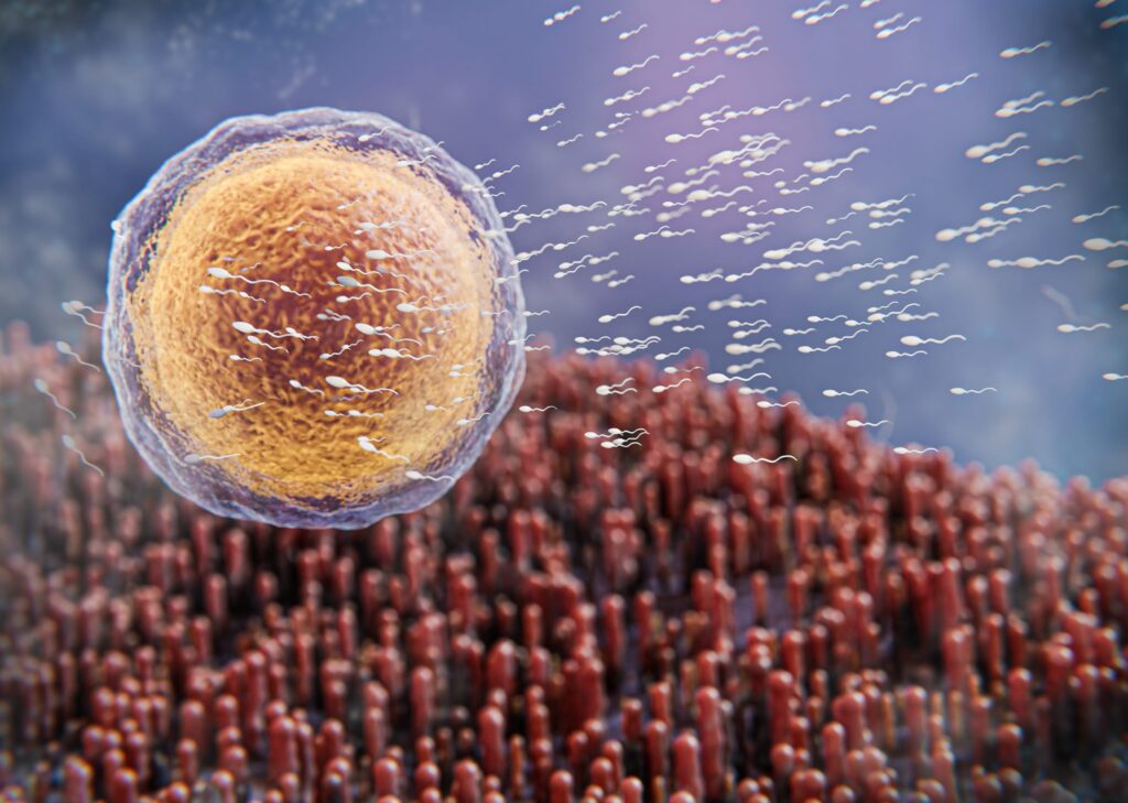 Prueba de espermatozoides