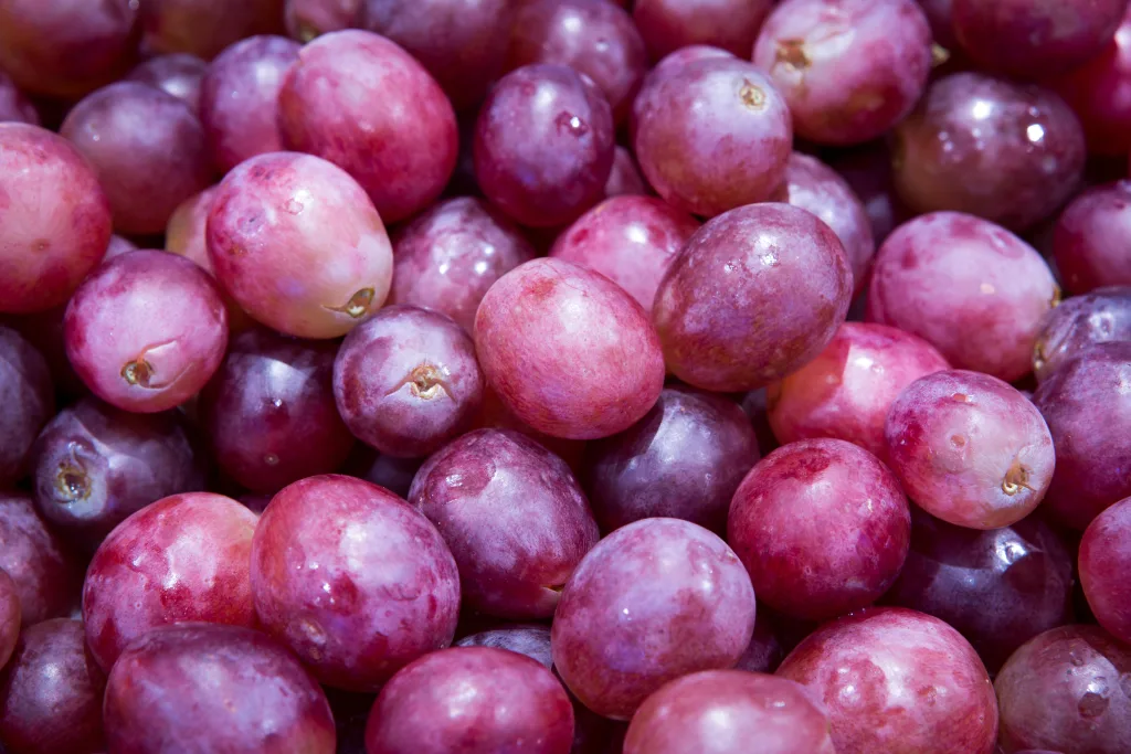 Qué es resveratrol y para qué sirve
