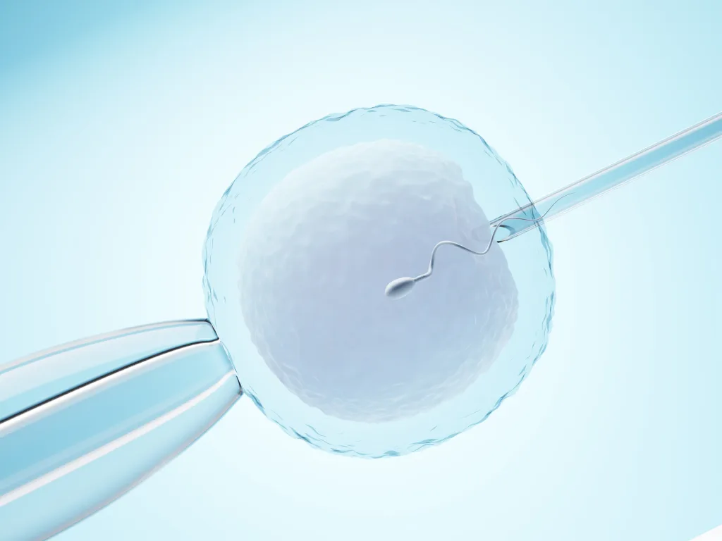 ovulo-con-aguja-para-inseminacion-artificial-o-fertilizacion-vitro-representacion-de-la-ilustracion-3d (1)-min Fertile chip